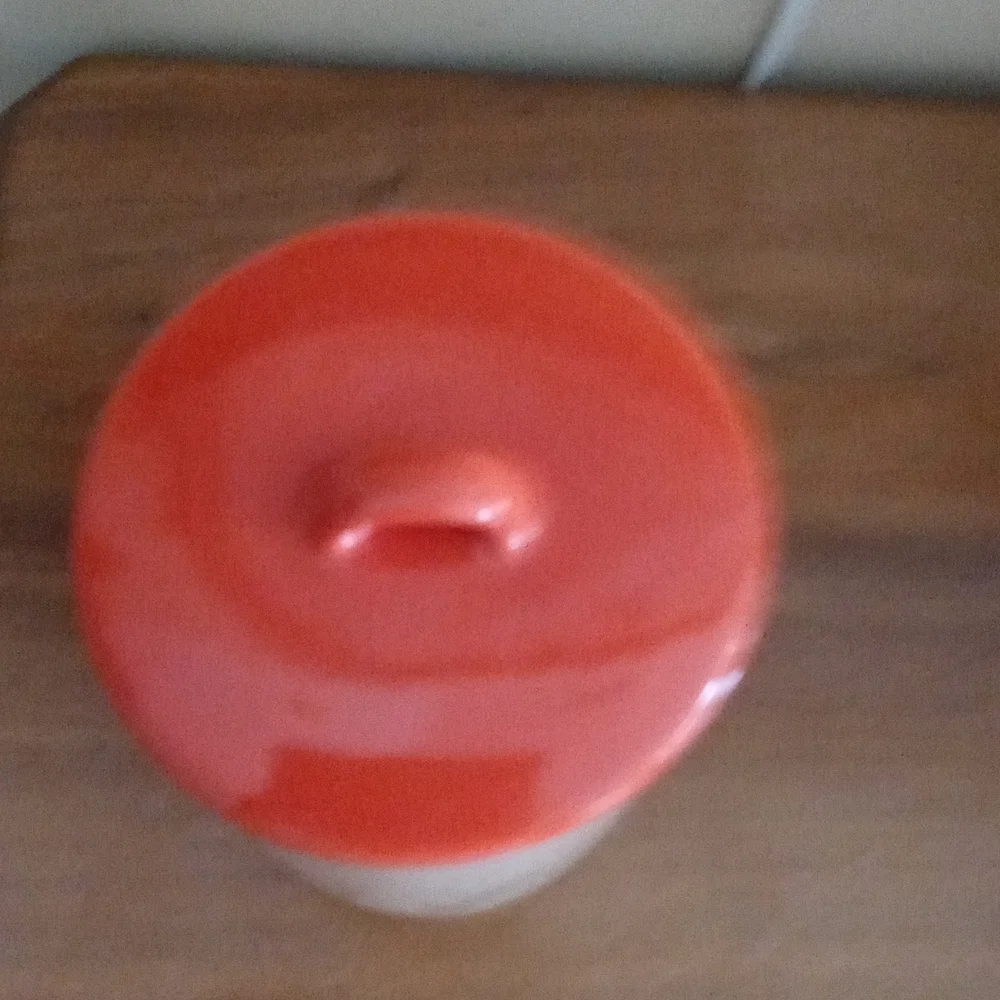 Snoopy fall canister